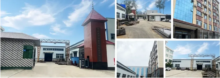 Shengyu
